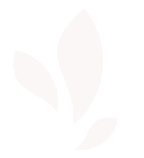 Shape-Embellishment-top